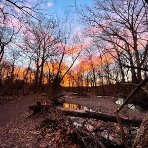 Meet your Posher, Jayna